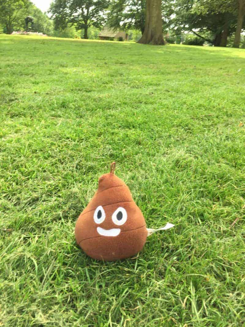 Astley Park chorley