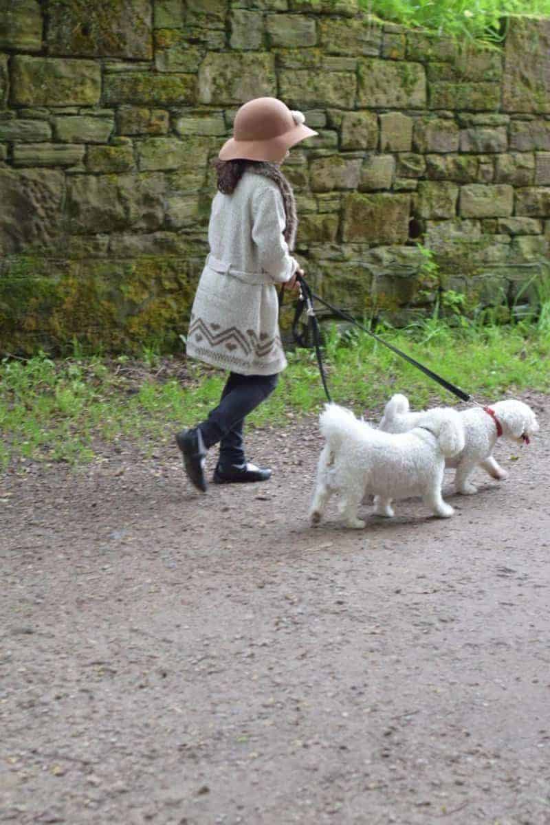 girl and bichon dog