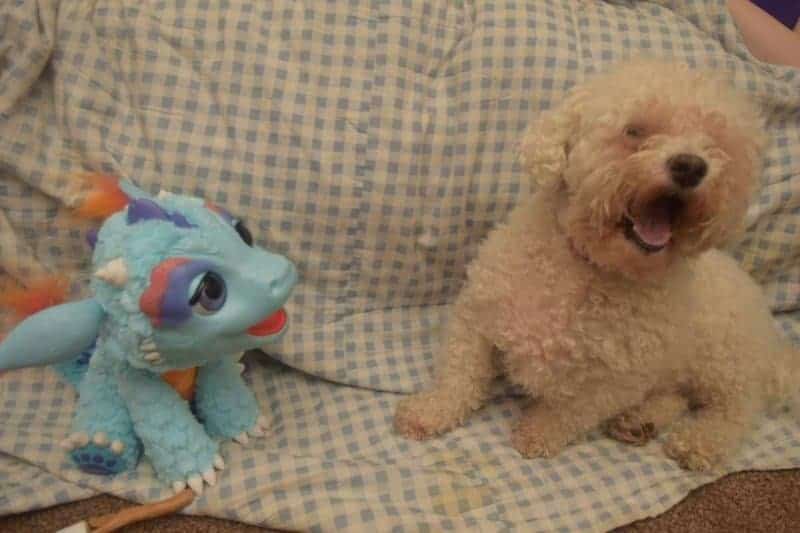 FurReal Friends Torch Blazin Dragon