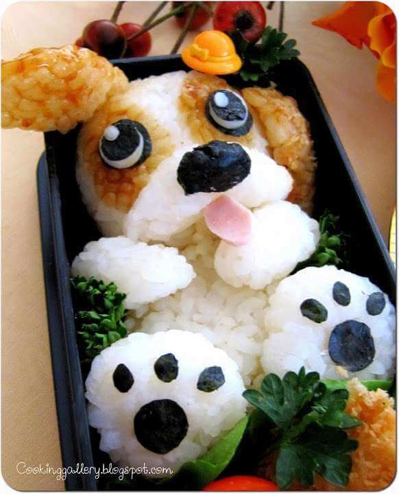 5 Brilliant Dog Bento Lunches · The Inspiration Edit
