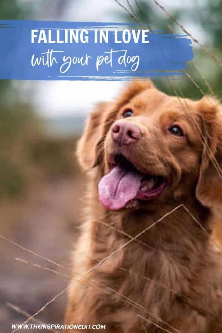 Falling in Love With Your Pet Dog · The Inspiration Edit