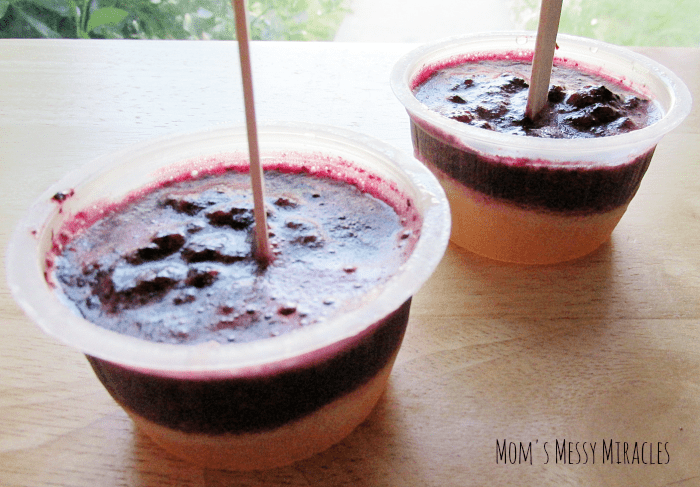 Mott's Blueberries on Top.