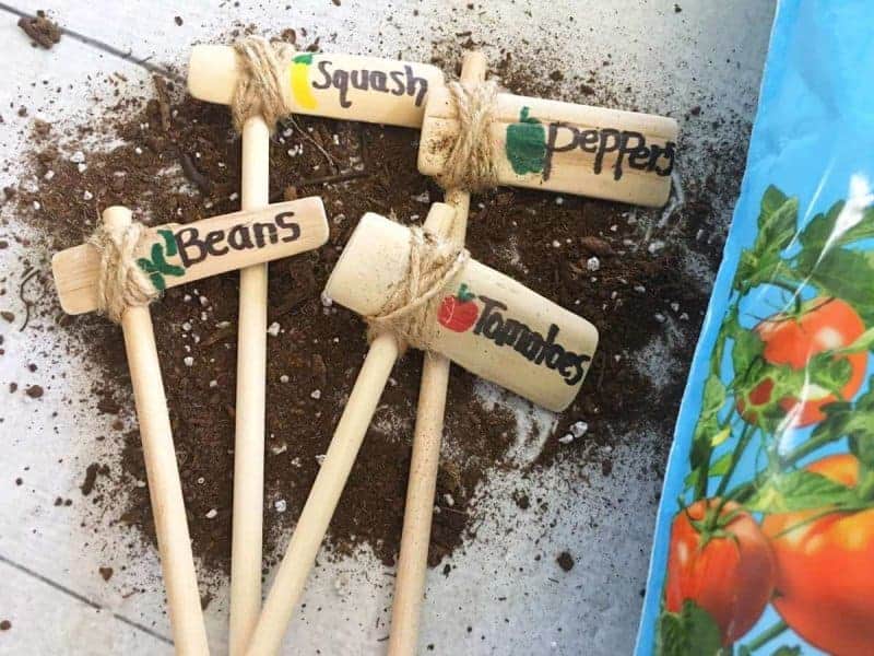 vegetable Garden Posts