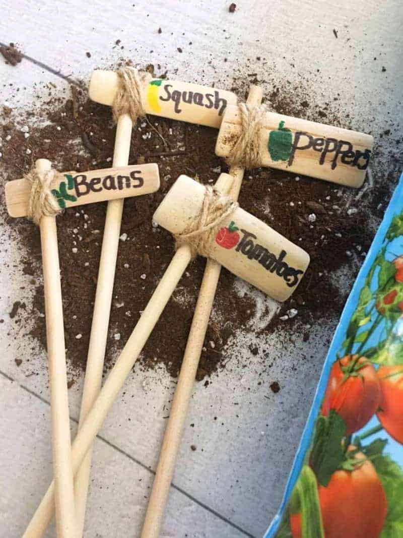 vegetable Garden Posts