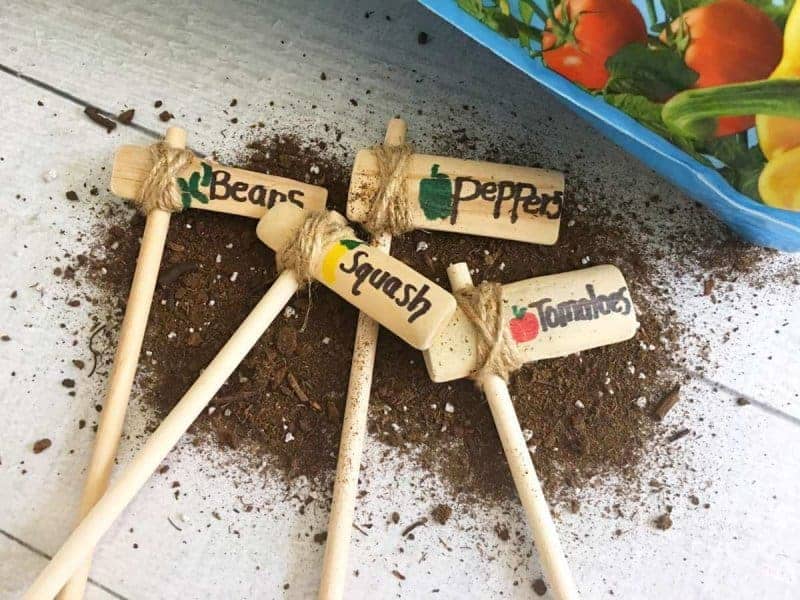 vegetable Garden Posts