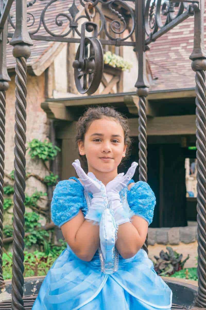 Disneyland Pairs Cinderella costume