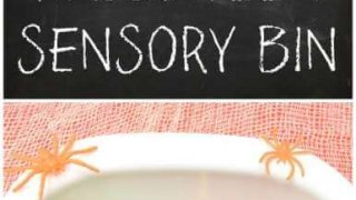 halloween sensory bin