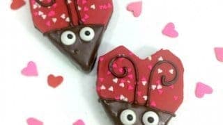 Love Bugs Fun Valentines Day Food Idea