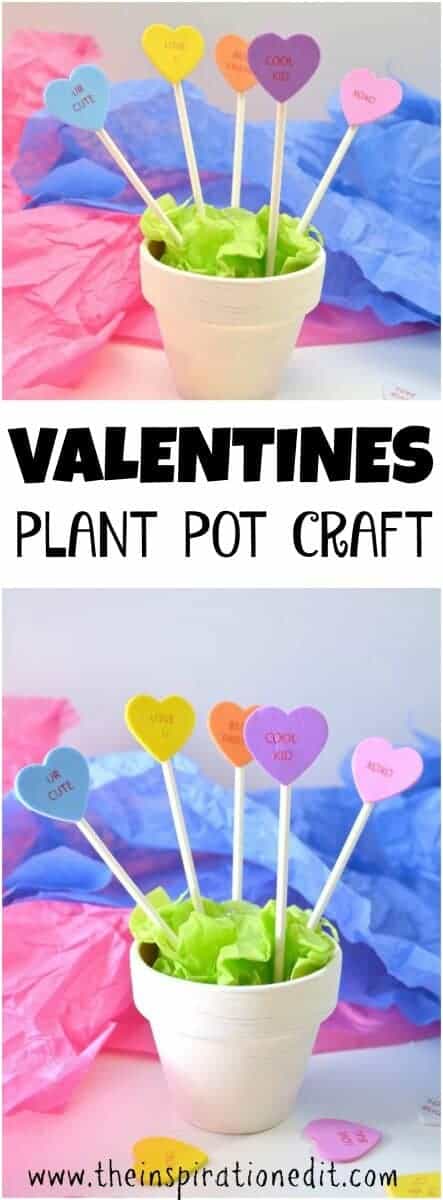 valentines plant pot
