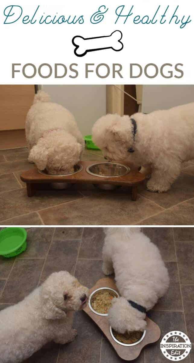 healthy dog food recipe