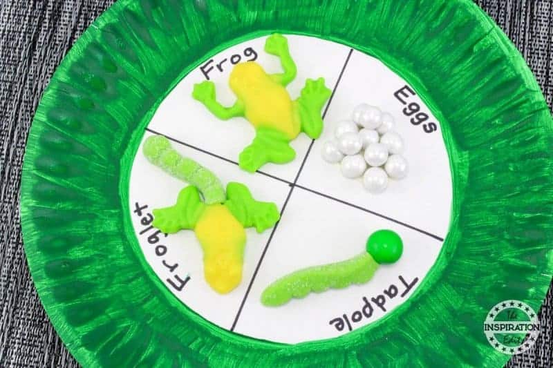 Frog Craft Activity