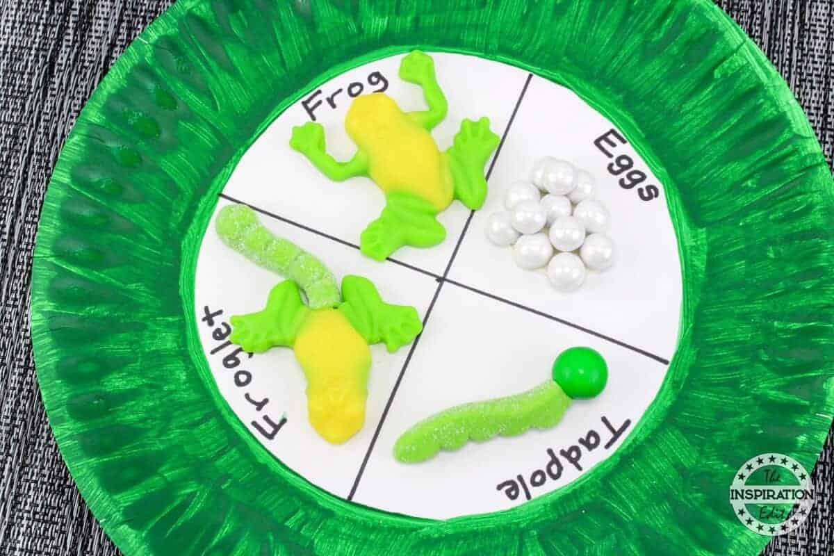 Frog Lifecycle Craft Activity For Kids The Inspiration Edit