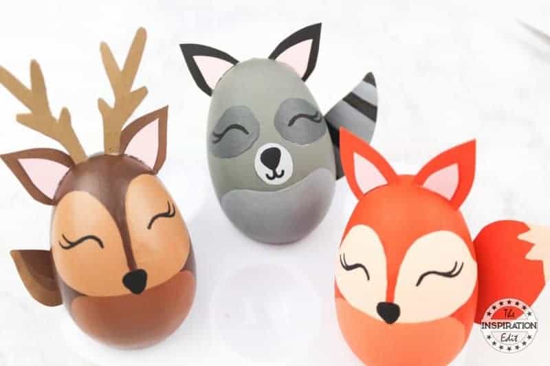 Woodland woodland animal eggs