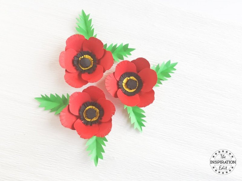 poppy day poppy craft