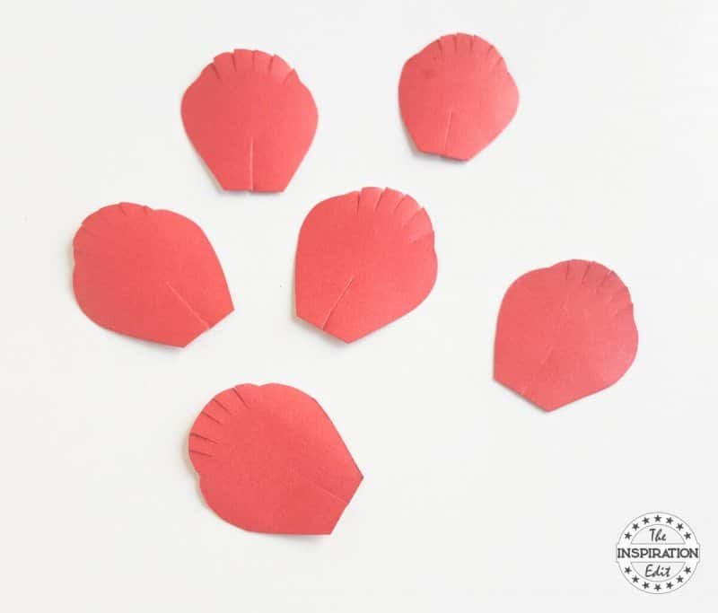 poppy day poppy craft
