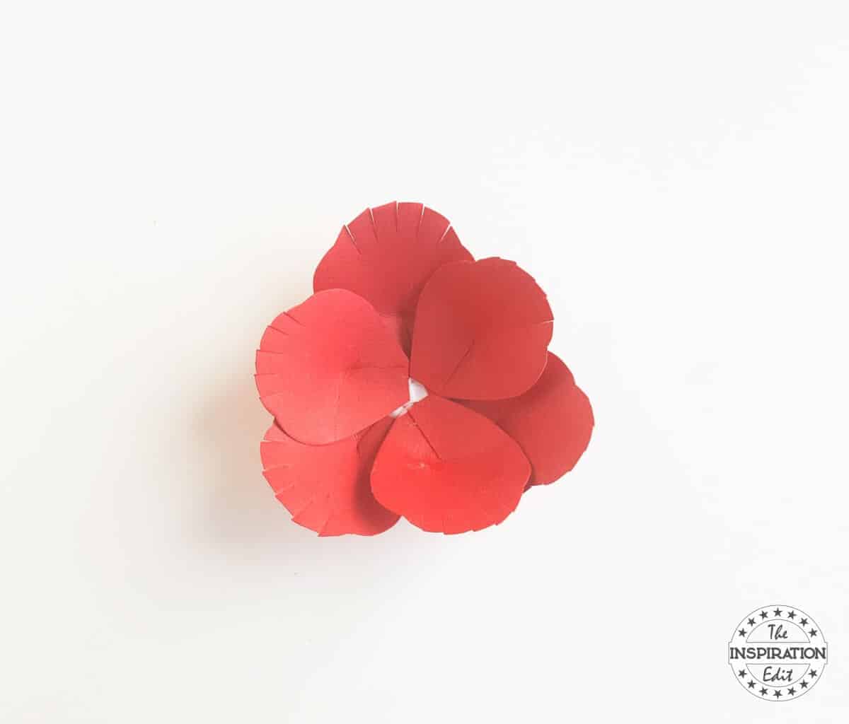 poppy flower with poppy craft template the inspiration edit