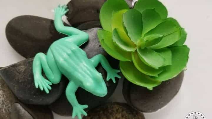 frog sensory bin