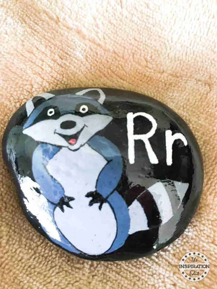 racoon rock stone