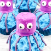 Octopus Cupcakes.