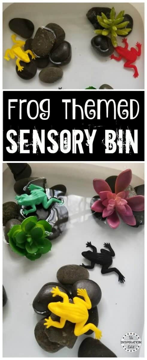 frog themed sensory bin