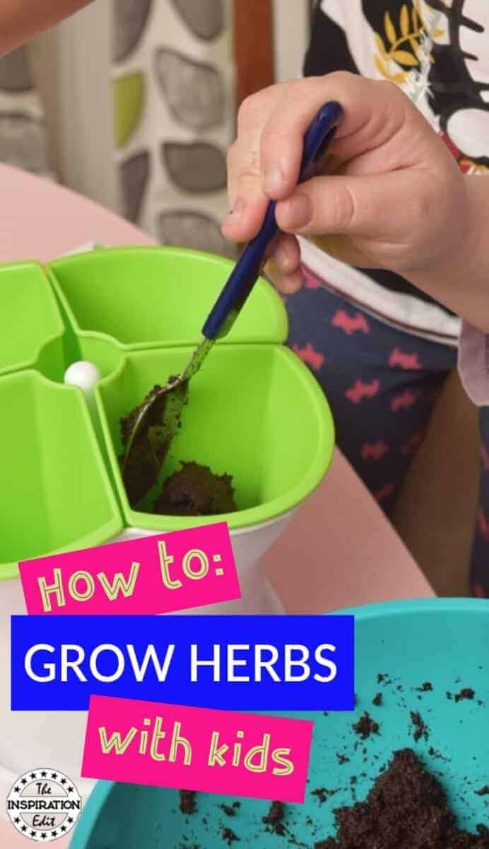 Planting our herbs