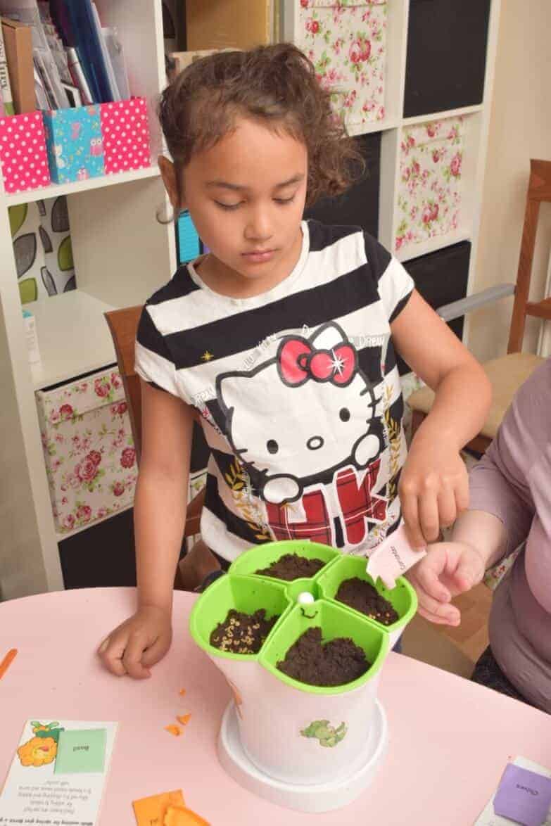 Pouring the seeds