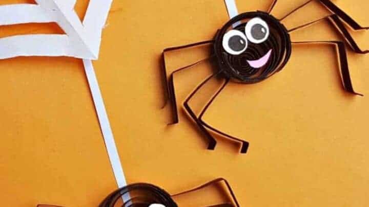 QUILLED SPIDERS