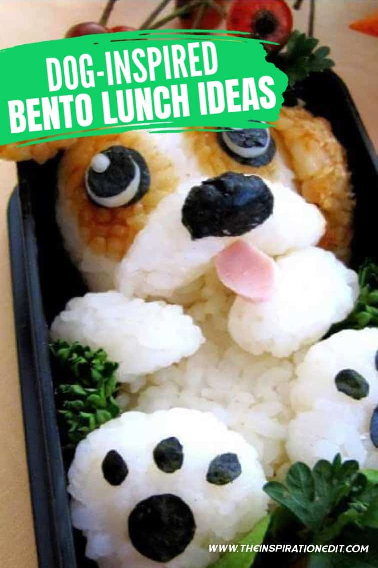 20 of the BEST Bento Lunch Ideas for Toddlers Story - 3 Boys and a Dog