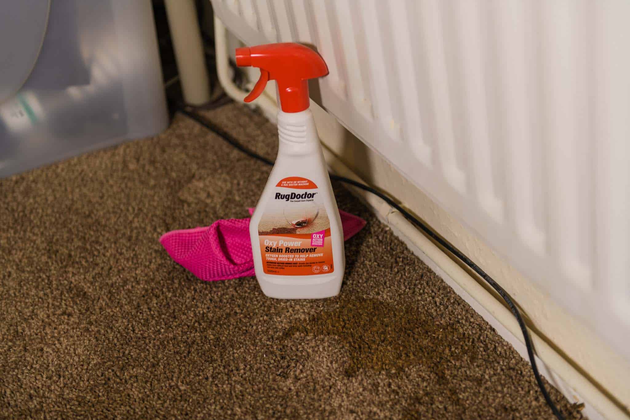 Removing Carpet Stains With Rug Doctor (Guest Blog by The Inspiration Edit) 850_2854 Removing Carpet Stains With Rug Doctor (Guest Blog by The Inspiration Edit)
