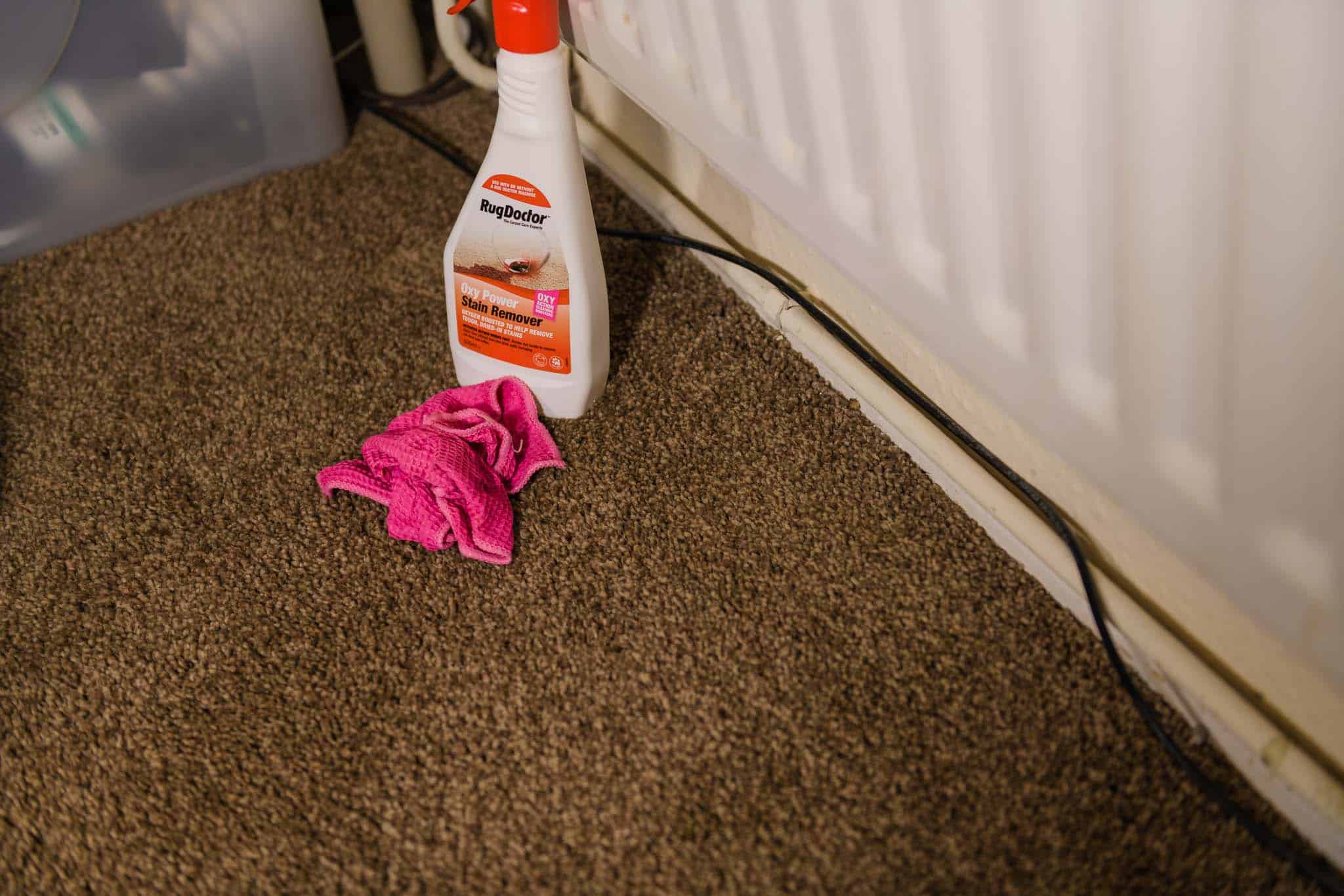 Removing Carpet Stains With Rug Doctor (Guest Blog by The Inspiration Edit) 850_2863 Removing Carpet Stains With Rug Doctor (Guest Blog by The Inspiration Edit)