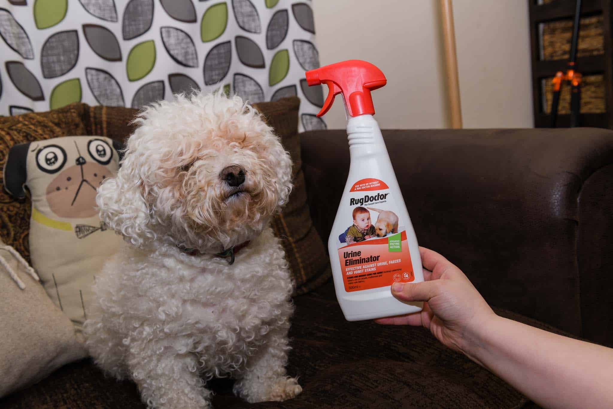 Removing Carpet Stains With Rug Doctor (Guest Blog by The Inspiration Edit) 850_2947 Removing Carpet Stains With Rug Doctor (Guest Blog by The Inspiration Edit)