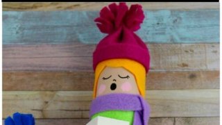 toilet tube christmas craft