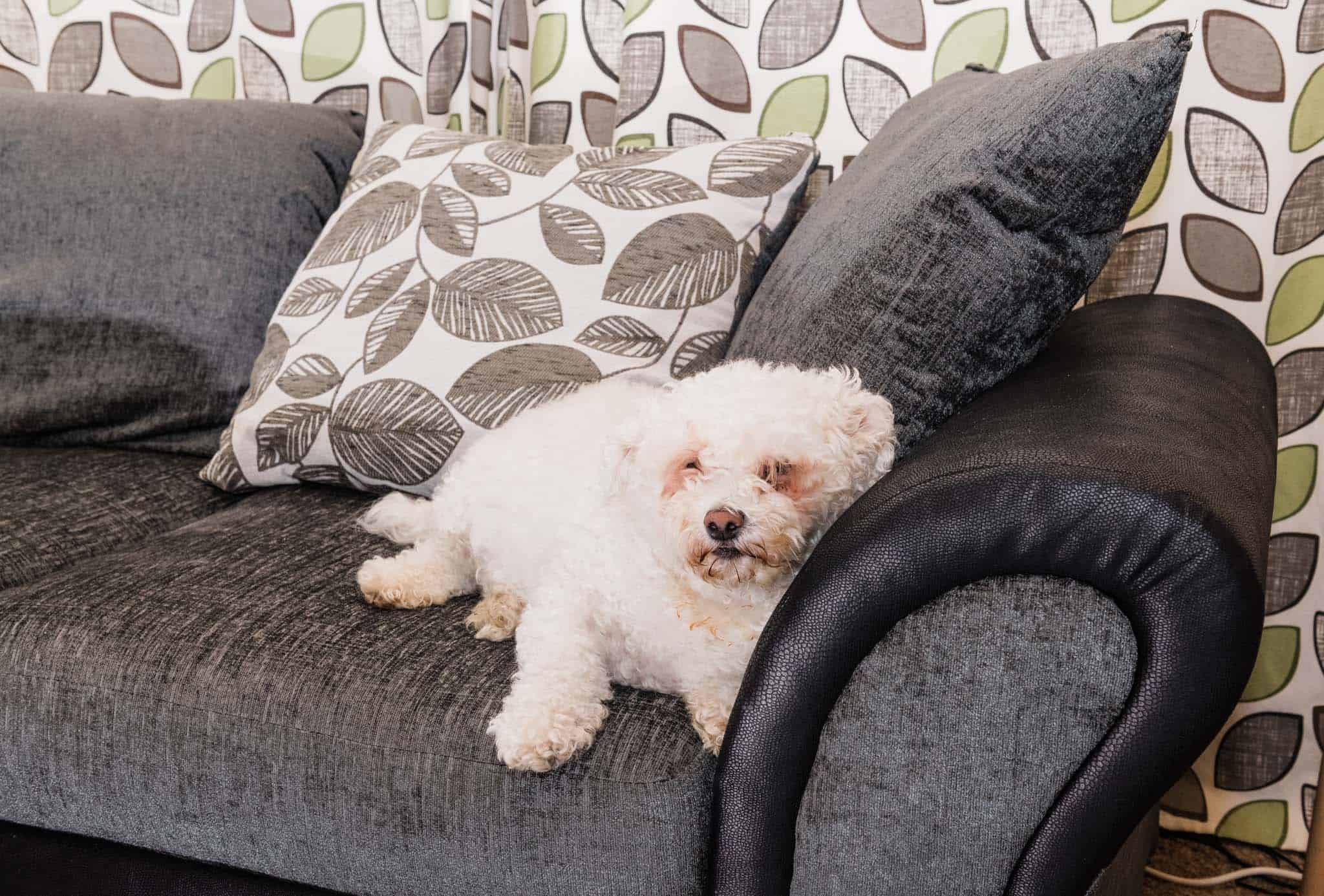 Yoda On the Corner Sofa