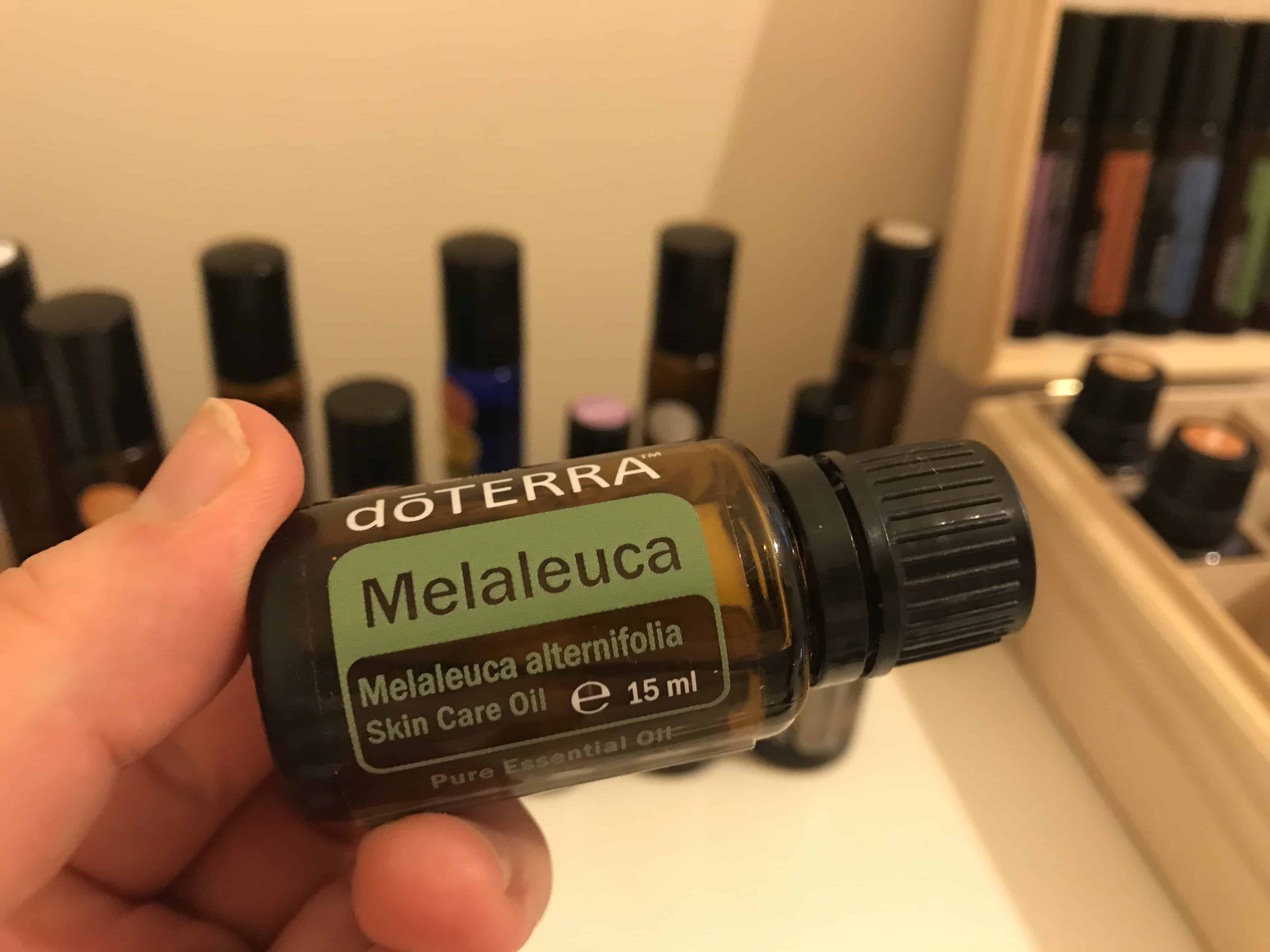Doterra Melaleuca Essential Oil