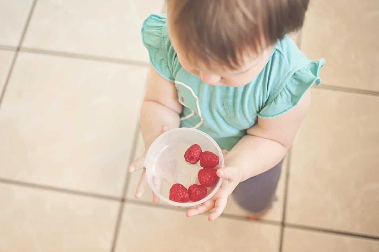 healthy meal ideas for toddlers