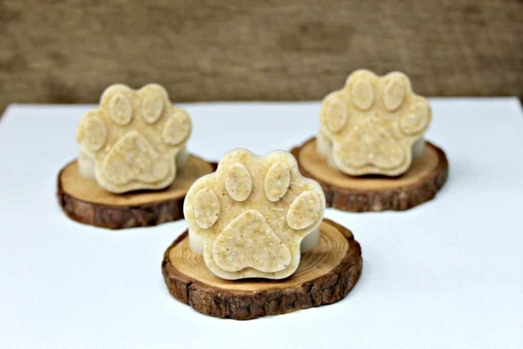 DIY Dog Shampoo Bar Recipe · The Inspiration Edit