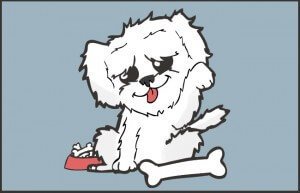 dog tooth extraction cost