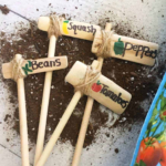 DIY markers for growing vegetables.