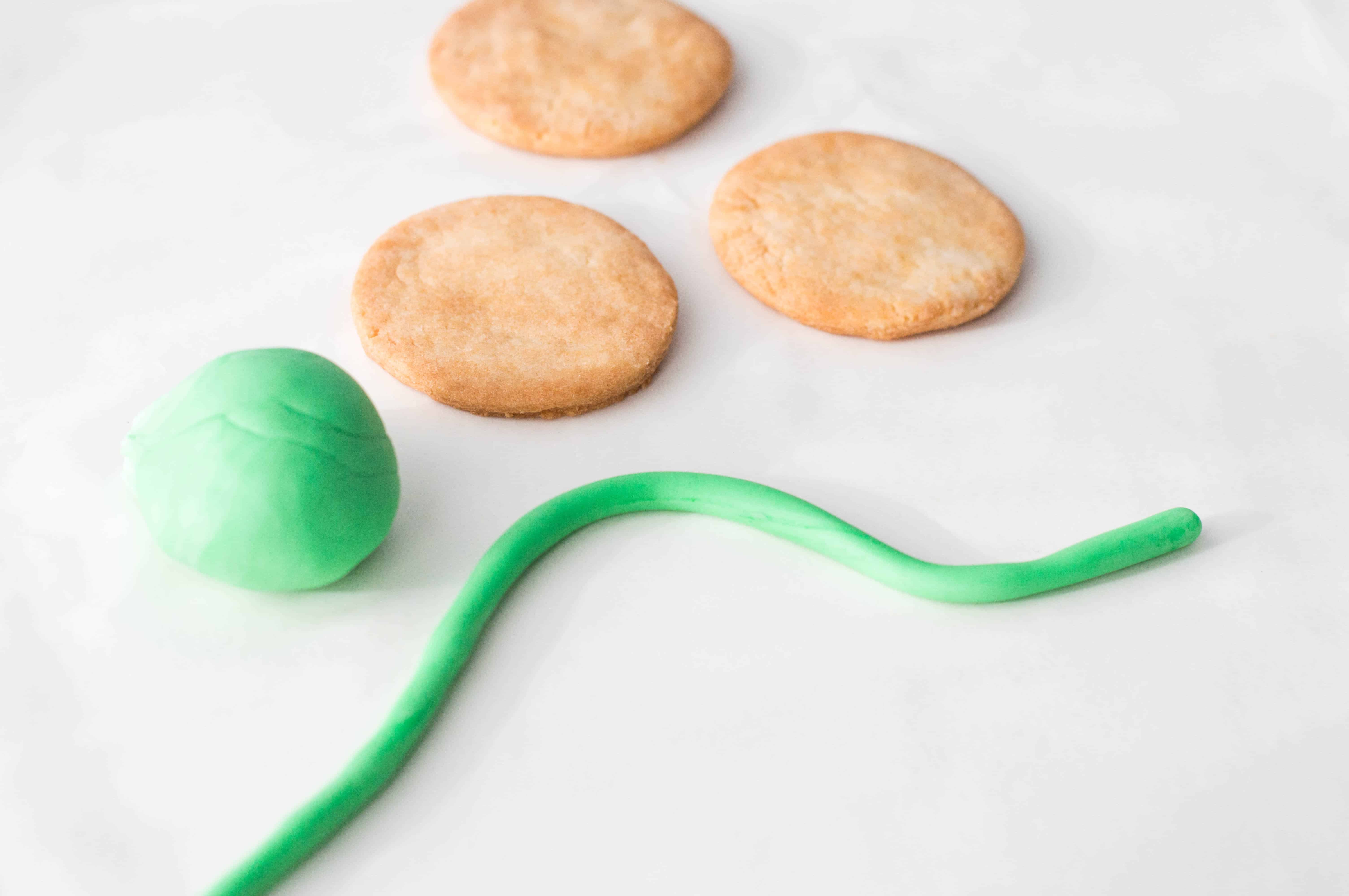 moana cookies Disney Moana heart of te fiti cookies