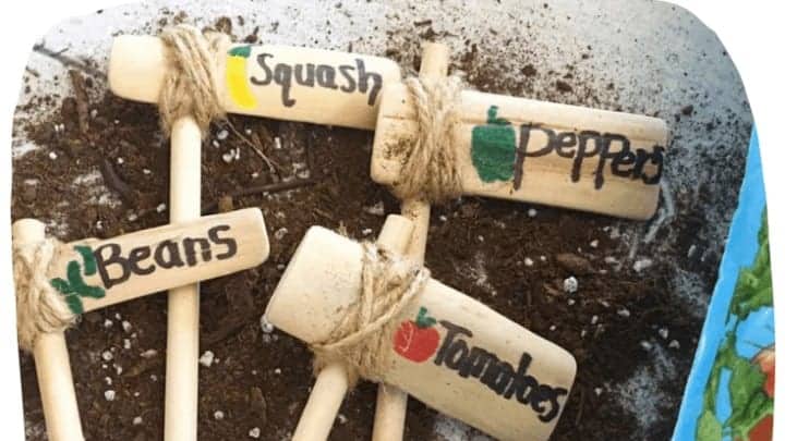 diy garden markers
