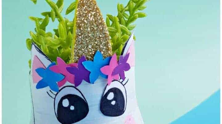DIY Planter Ideas Bottle Recycling Unicorn Planter