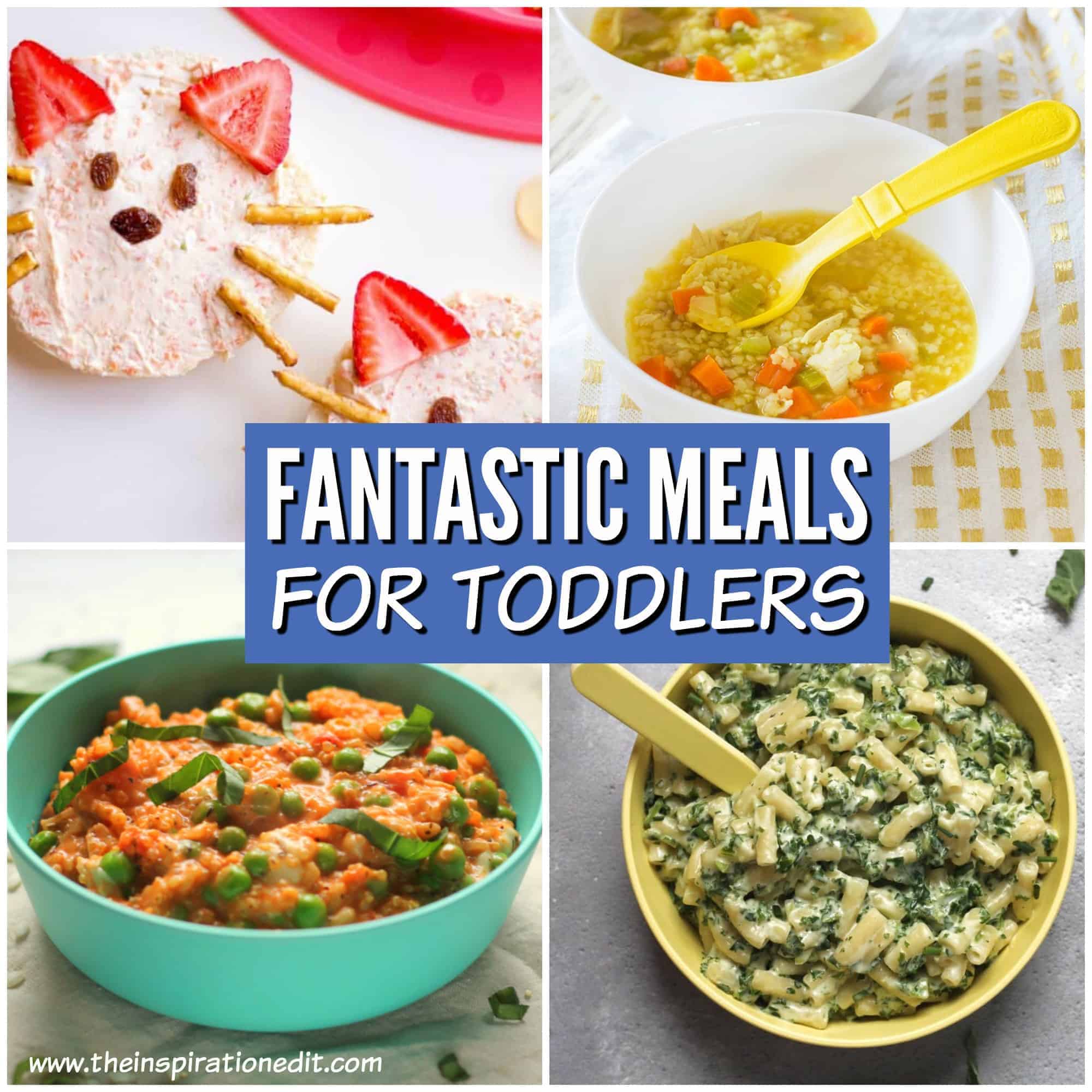 Healthy Meal Ideas For Toddlers · The Inspiration Edit