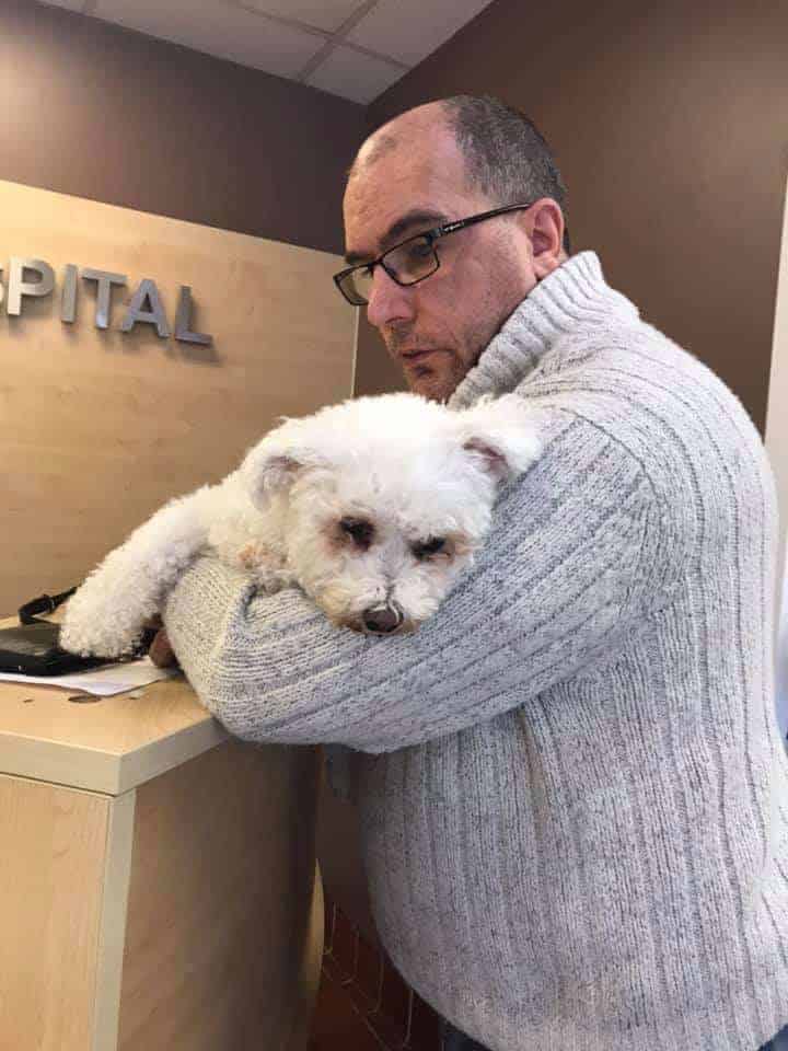 a dog with pressure sores on their bottom