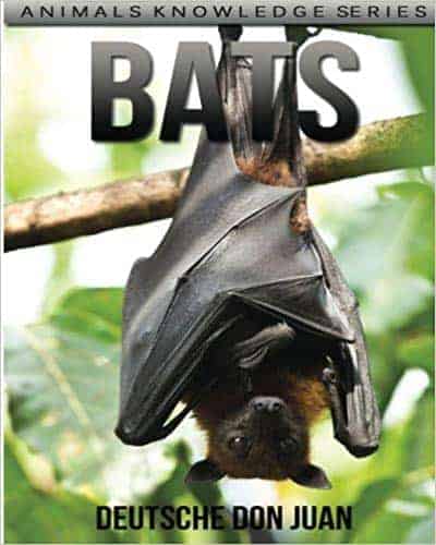 bats animal facts book. bat stories for kindergarten