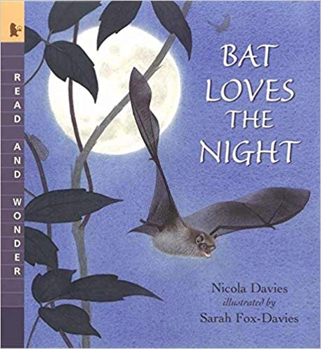 bat loves the night. bat stories for kindergarten