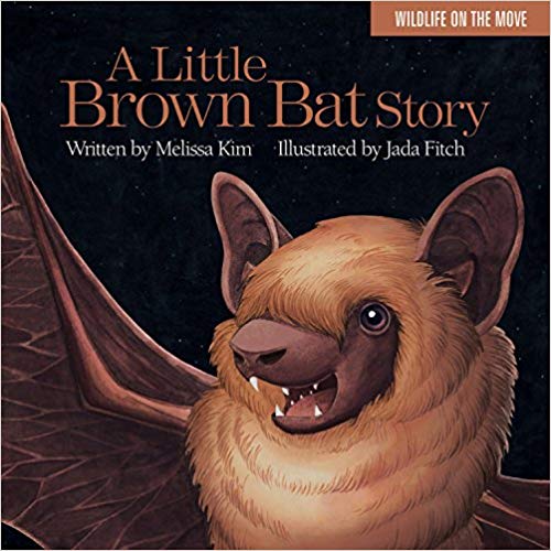 a little brown bat story. bat stories for kindergarten