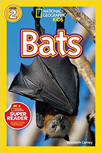 bats national geographic book. kids book about bats