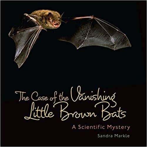 the case of the vanishing brown bats. kids book about bats