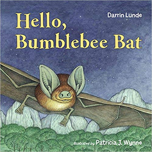 hello bumblebee bat book for kids. halloween books about bats