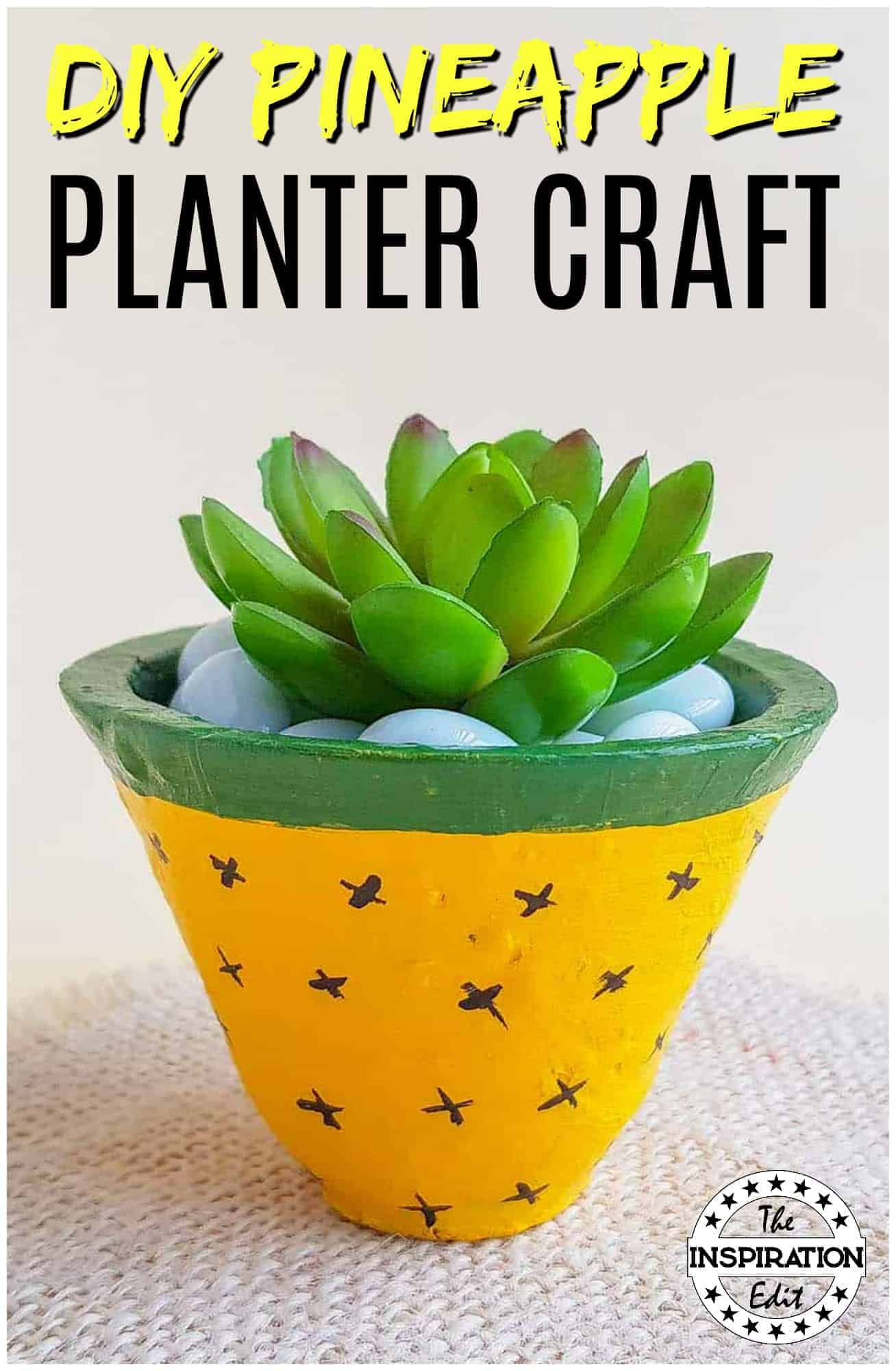 DIY Pineapple Planter.